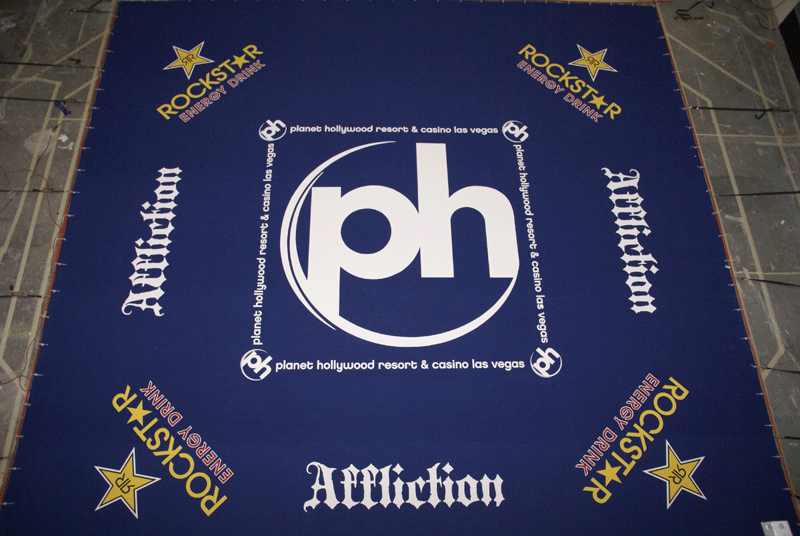 Rockstar planet hollywood 24'  boxing mat