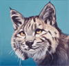 link to Cougar mural