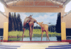 link to Moose Courtyard mural